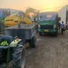 hoangphat.ltd