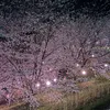 nishi.1028