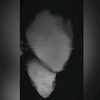 futilityfs