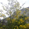 nguynhin6396