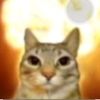 urmomlooks.likeacat