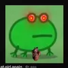 poppy_neish