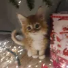 lesha_0304