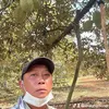 gialongtong81
