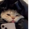 jamila_reda