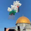 hanan1999dz