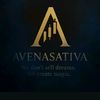 avenaasativaa
