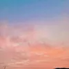 saturnsdaisy_