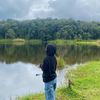 cidew