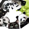 panda.cat.ktpd