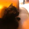 happybs6