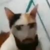 strygwyr697