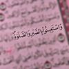 hanan96276717