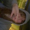 loony._.tunes