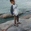 abijar744