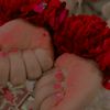 nimysajjad
