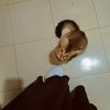 mistimeye116551