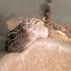 reptilemomma99