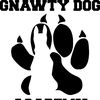 gnawtydogacademy