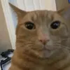 oliveratbh