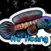 ngocc987