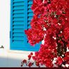 jodi_1415