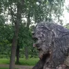 thekindestoftrees