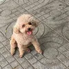 banhbaoooo99