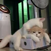 n0_o6