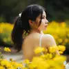 ame260794