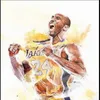 basketsakuragi