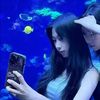 .vickypedia._