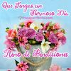 user372762818