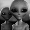30240961417