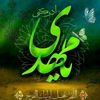 arslanjutt973