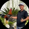Trại Gà Duyên Ti