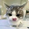 xoxomimipop
