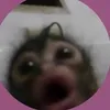 kiskosz