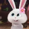 ziiiii.06