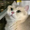 quocduyy__
