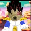 yuenoftruenoxd