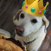 sam_the_burberqueen