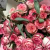 maryam_0015