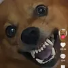 sjjdyndbbshd