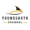 YoungShark Channel