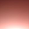 shy_2176