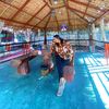 dolphinchitthu3