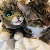 tibbysu