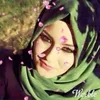 memoo_mh88