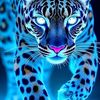 nmnh.sdf